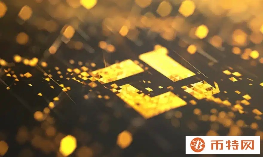 尽管市场恐慌，交易员仍持有比特币：币安
