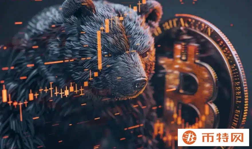 CryptoQuant 首席执行官：比特币牛市周期已经结束，价格可能因鲸鱼行为而下跌
